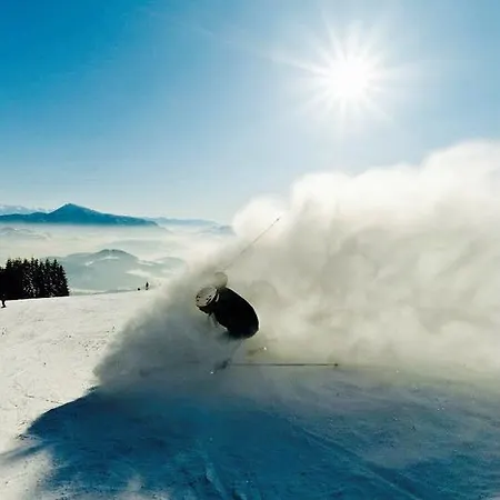 Kubinska Hola アパート *